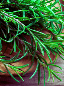 Rosemary