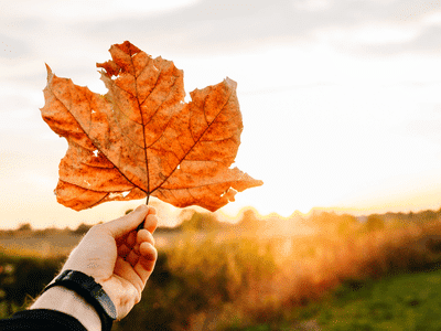 10 Free Family Friendly Outings Perfect For Autumn